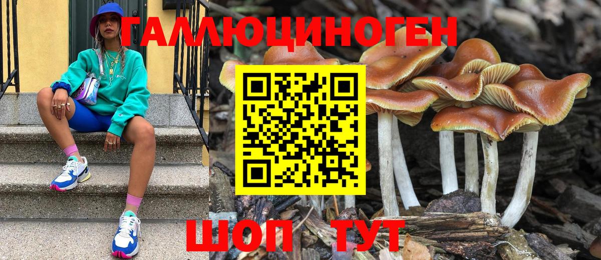 Псилоцибиновые грибы Cubensis  Вход с VPN  Новоуральск 